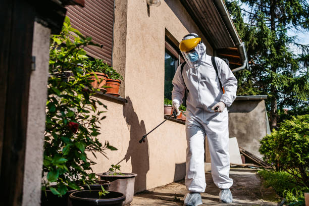 Best Bed Bug Extermination  in Maine, WI
