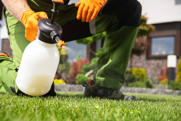 Reliable Maine, WI Pest Control Solutions