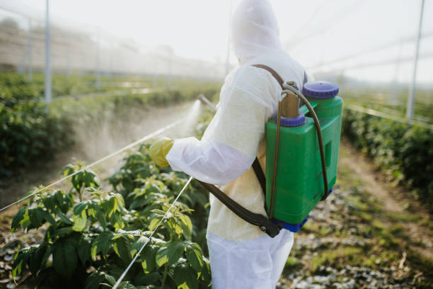Best Affordable Pest Control Services  in Maine, WI